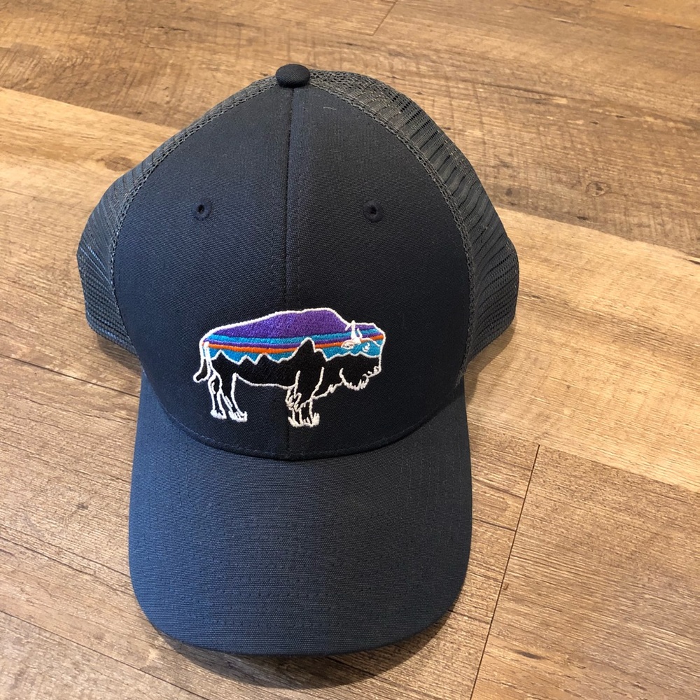 Patagonia Bison Trucker Hat